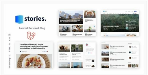 Unleash Your Creative Voice: A Comprehensive Look at Stories - The Laravel Multilingual Blog Platform