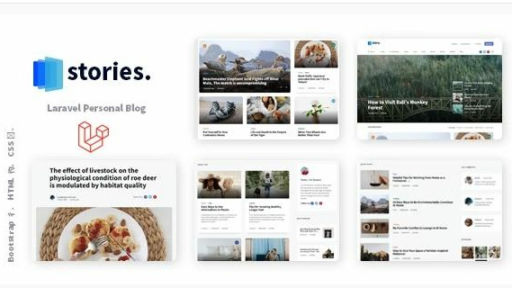 Unleash Your Creative Voice: A Comprehensive Look at Stories - The Laravel Multilingual Blog Platform