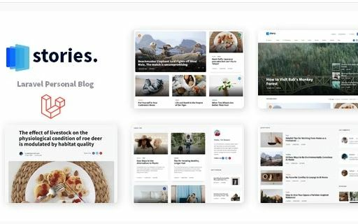 Unleash Your Creative Voice: A Comprehensive Look at Stories - The Laravel Multilingual Blog Platform
